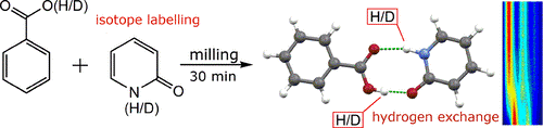 Isotope Labeling Reveals Fast Atomic and Molecular Exchange in Mechanochemical Milling Reactions
