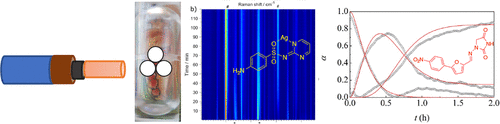 Mechanochemical Preparation of Active Pharmaceutical Ingredients Monitored by In Situ Raman Spectroscopy